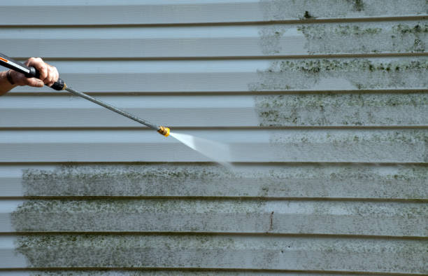 Mold Removal Process in Berlin, NH