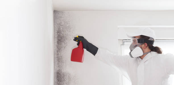 Water Damage Restoration in Berlin, NH
