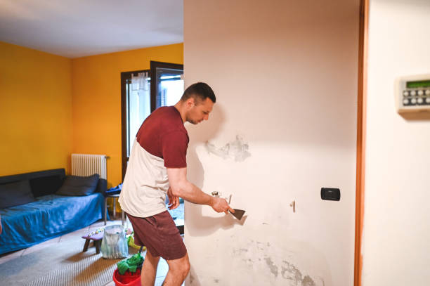 Best Professional Mold Removal  in Berlin, NH